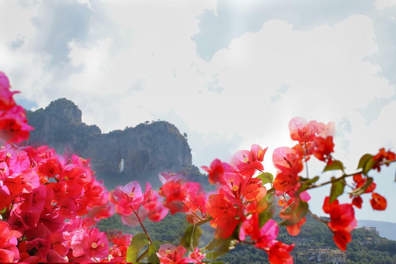 Positano Holidays Esterno foto